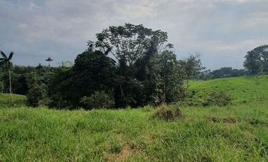 Fincas en venta de 1 HA en Pedro Vicente Maldonado - Ecuador