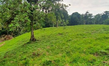 Fincas en venta de 1 HA en Pedro Vicente Maldonado - Ecuador