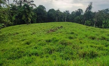 Fincas en venta de 1 HA en Pedro Vicente Maldonado - Ecuador
