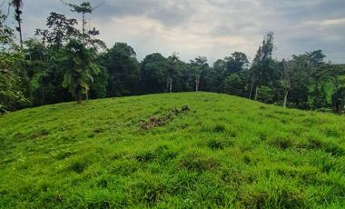Fincas en venta de 1 HA en Pedro Vicente Maldonado - Ecuador