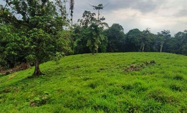 Fincas en venta de 1 HA en Pedro Vicente Maldonado - Ecuador