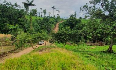 Fincas en venta de 1 HA en Pedro Vicente Maldonado - Ecuador