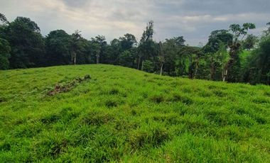 Fincas en venta de 1 HA en Pedro Vicente Maldonado - Ecuador