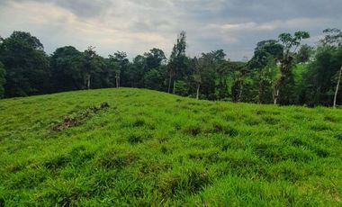 Fincas en venta de 1 HA en Pedro Vicente Maldonado - Ecuador