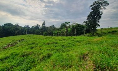 Fincas en venta de 1 HA en Pedro Vicente Maldonado - Ecuador