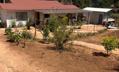 Panilonco, Cercano a Pichilemu