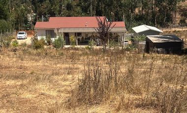 Panilonco, Cercano a Pichilemu