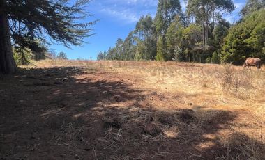 Panilonco, Cercano a Pichilemu