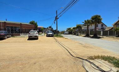 Calle Carrera, Pichilemu