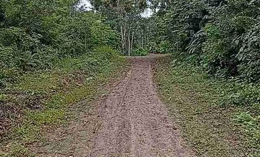 15 Hect+areas de NATURALEZA a 5 MINUOS DE ZONA URBANA