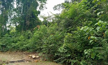 15 Hect+areas de NATURALEZA a 5 MINUOS DE ZONA URBANA