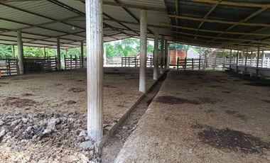 finca con casa de venta en calceta