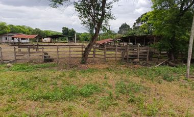 finca con casa de venta en calceta