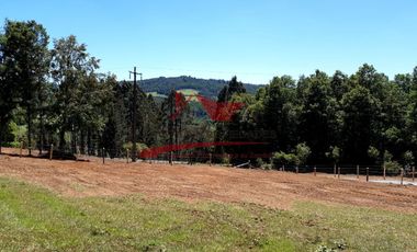 Parcela de 5.000 metros Cuadrados un Huiñoco, San Jose, Comuna Loncoche, Novena Region.