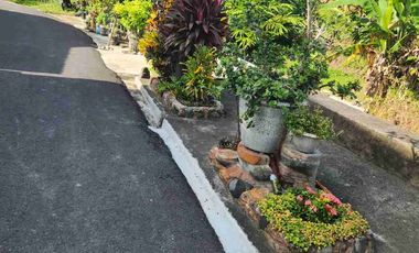 VILLA LANTAI II DENGAN PEMANDANGAN SAWAH
