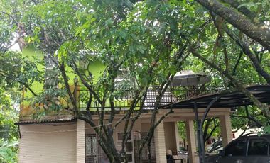 Di Jual Rumah dan Tanah Kebun