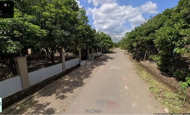 Di Jual Rumah dan Tanah Kebun