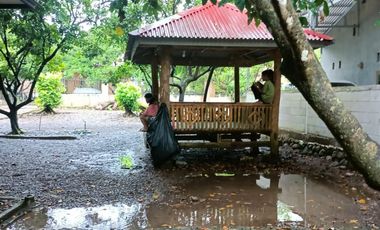 Di Jual Rumah dan Tanah Kebun