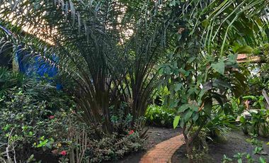 Dijual Rumah Hitung Tanah dengan Lokasi Strategis di Ragunan, Pasar Minggu, Jakarta Selatan