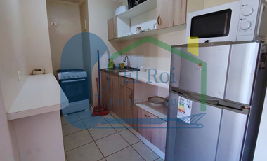 SE ARRIENDA DEPARTAMENTO