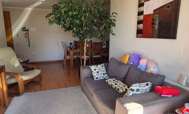 Vende soleado departamento en Lomas de San Sebastián, Concepción.