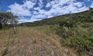 OPORTUNIDAD Propiedad de venta en Yunguilla Santa Isabel sector Naranjos. colinda con el Rio Rircay a 12 minutos de la vía Girón Pasaje