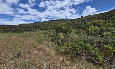 OPORTUNIDAD Propiedad de venta en Yunguilla Santa Isabel sector Naranjos. colinda con el Rio Rircay a 12 minutos de la vía Girón Pasaje