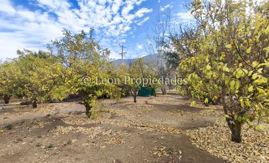 Leon Propiedades vende parcela con gran casa en sector Cuyuncavi, Curacaví.