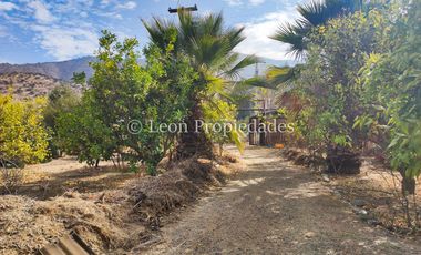Leon Propiedades vende parcela con gran casa en sector Cuyuncavi, Curacaví.