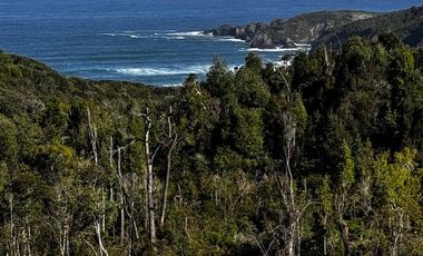 Se vende parcela de 5 mil mts con vista al mar