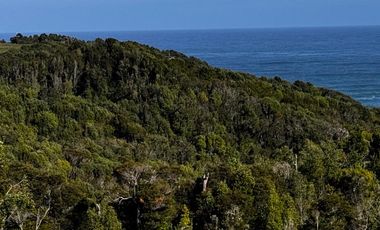 Se vende parcela de 5 mil mts con vista al mar