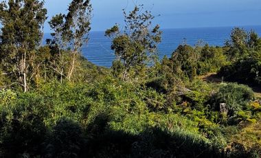 Se vende parcela de 5 mil mts con vista al mar