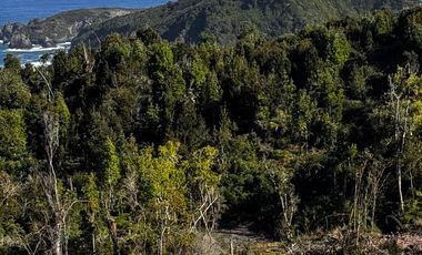 Se vende parcela de 5 mil mts con vista al mar