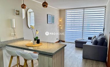 Arriendo Depto 1D 1B Barrio Brasil c/ Estacionamiento y Bodega