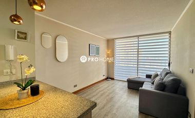Arriendo Depto 1D 1B Barrio Brasil c/ Estacionamiento y Bodega