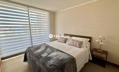 Arriendo Depto 1D 1B Barrio Brasil c/ Estacionamiento y Bodega