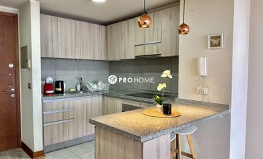 Arriendo Depto 1D 1B Barrio Brasil c/ Estacionamiento y Bodega