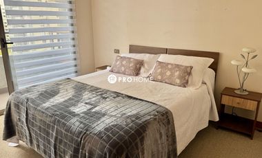 Arriendo Depto 1D 1B Barrio Brasil c/ Estacionamiento y Bodega