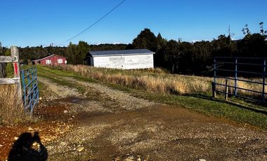 Se vende casa con 5,7 hectáreas con bodega