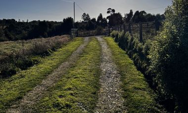 Se vende casa con 5,7 hectáreas con bodega