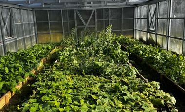 Se vende casa con 5,7 hectáreas con bodega