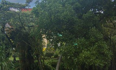 SE ARRIENDA  APARTAMENTO  RIONEGRO  ANTIOQUIA