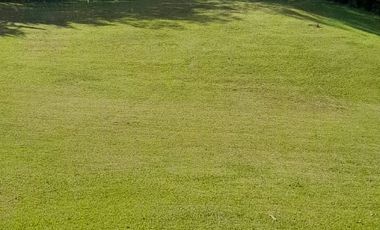 SE ARRIENDA  FINCA  RIONEGRO  ANTIOQUIA