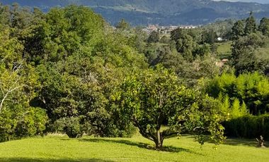 SE ARRIENDA  FINCA  RIONEGRO  ANTIOQUIA