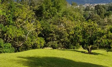SE ARRIENDA  FINCA  RIONEGRO  ANTIOQUIA