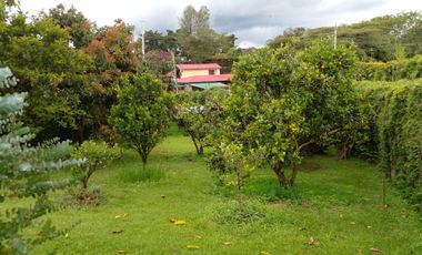SE ARRIENDA  CASA  RIONEGRO  ANTIOQUIA
