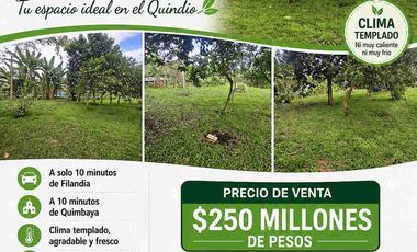 SE VENDE LOTE EN QUIMBAYA