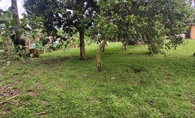 SE VENDE LOTE EN QUIMBAYA
