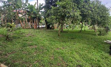 SE VENDE LOTE EN QUIMBAYA