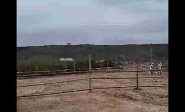 🔥 TERRENO 453 M² EN VENTA | Vía Spondylus - $40,000
_Frente a Ballenita | Listo para construir y escriturar_